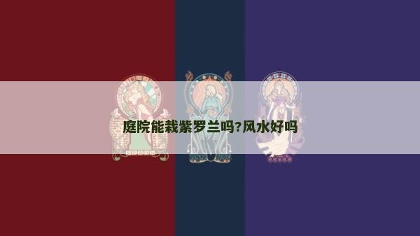 庭院能栽紫罗兰吗?风水好吗