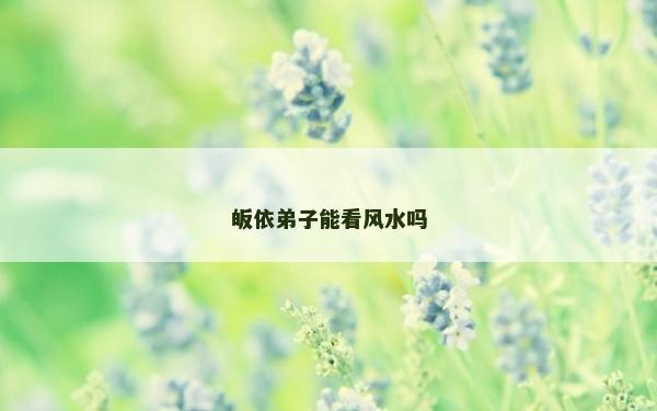 皈依弟子能看风水吗