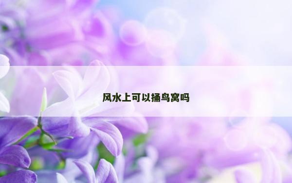 风水上可以捅鸟窝吗