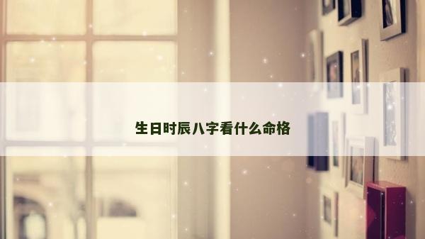 生日时辰八字看什么命格