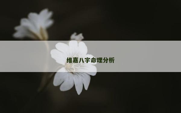 维嘉八字命理分析