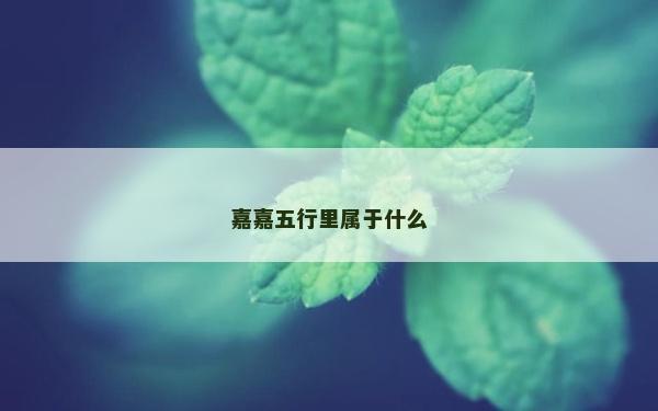 嘉嘉五行里属于什么