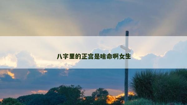 八字里的正宫是啥命啊女生