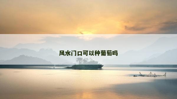 风水门口可以种葡萄吗