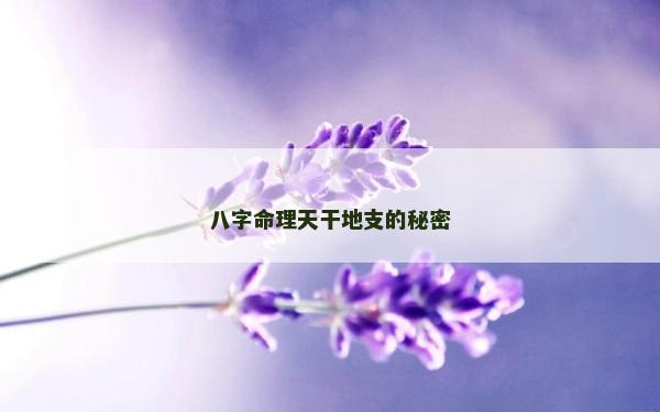 八字命理天干地支的秘密
