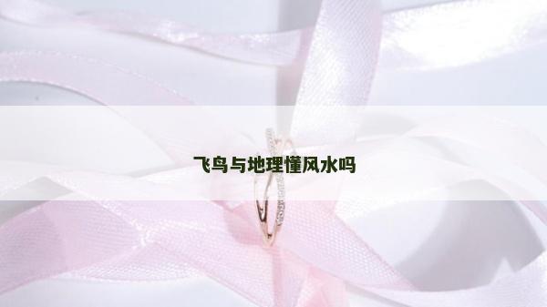 飞鸟与地理懂风水吗
