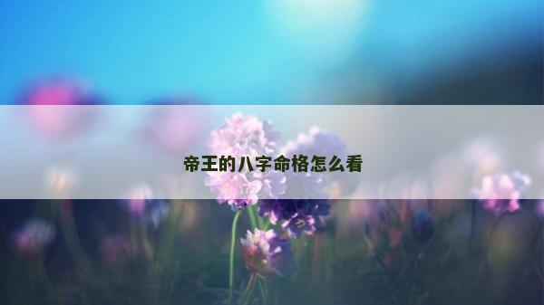 帝王的八字命格怎么看