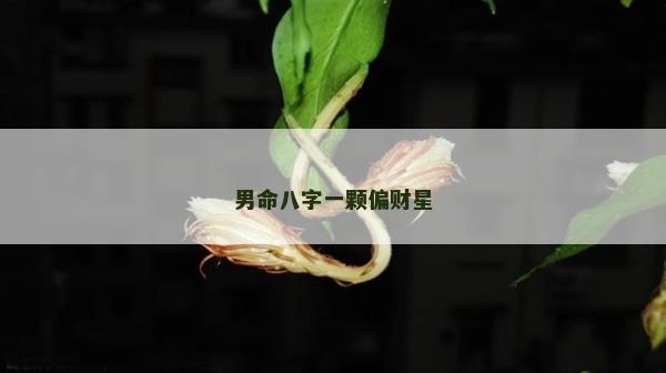 男命八字一颗偏财星