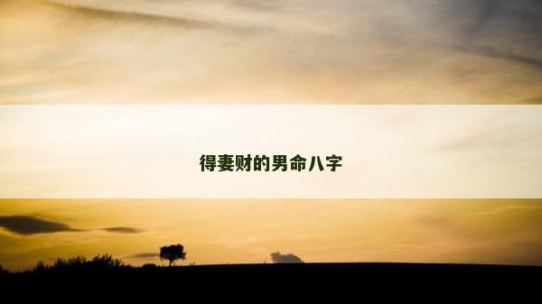 得妻财的男命八字