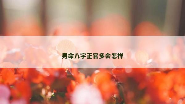 男命八字正官多会怎样