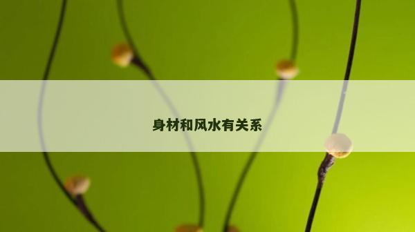 身材和风水有关系