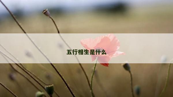 五行相生是什么