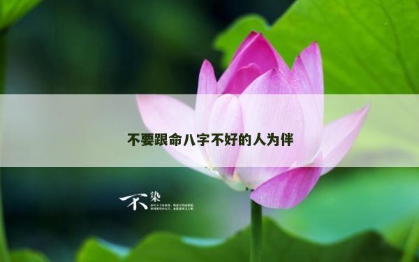 不要跟命八字不好的人为伴