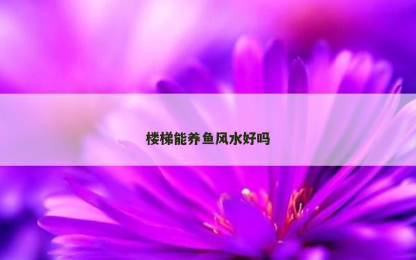 楼梯能养鱼风水好吗