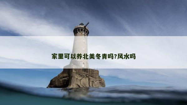 家里可以养北美冬青吗?风水吗