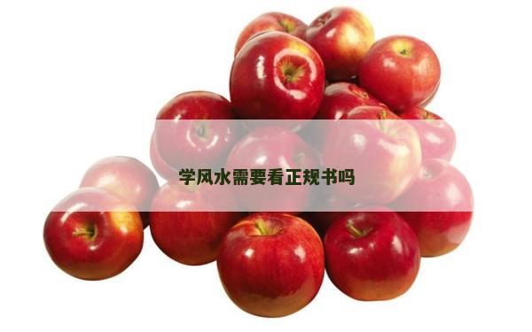学风水需要看正规书吗
