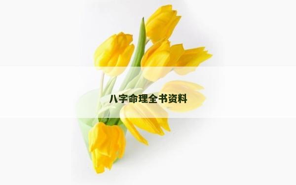 八字命理全书资料