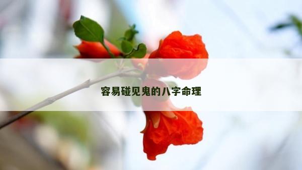 容易碰见鬼的八字命理