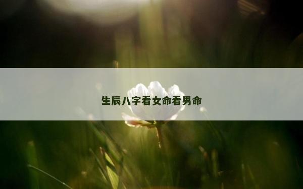 生辰八字看女命看男命