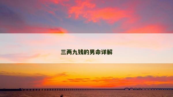 三两九钱的男命详解