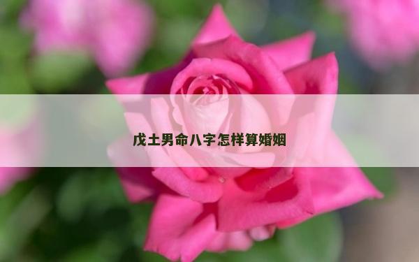 戊土男命八字怎样算婚姻