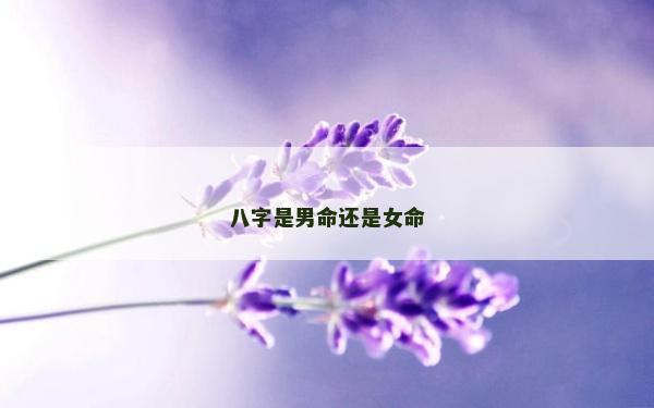 八字是男命还是女命