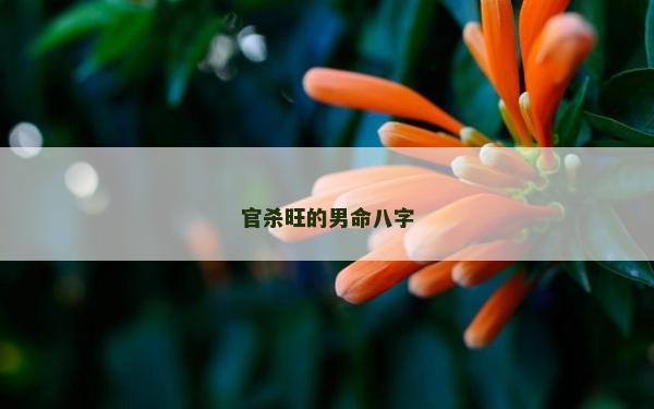 官杀旺的男命八字