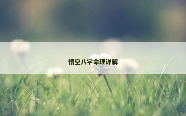 悟空八字命理详解