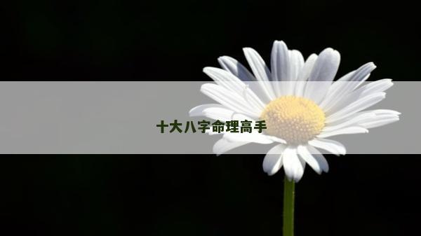 十大八字命理高手