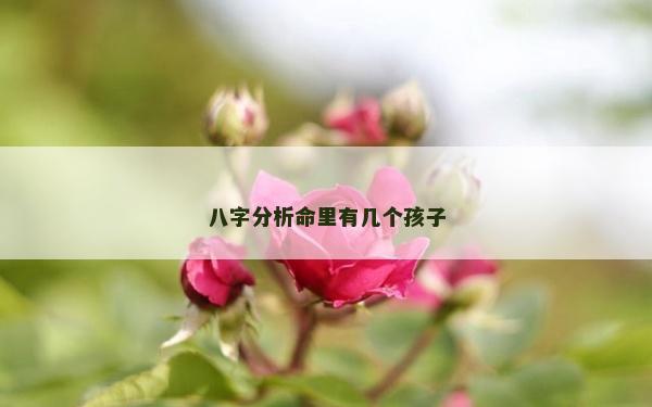 八字分析命里有几个孩子