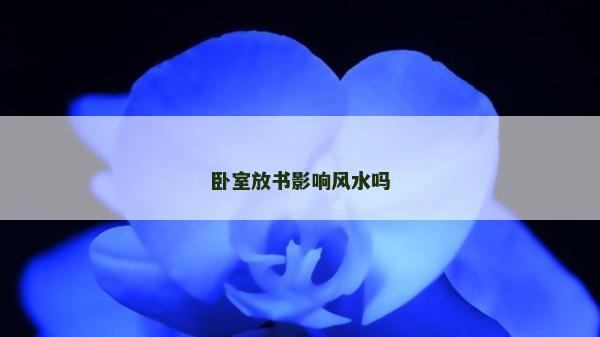 卧室放书影响风水吗