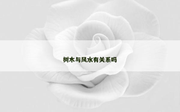 树木与风水有关系吗