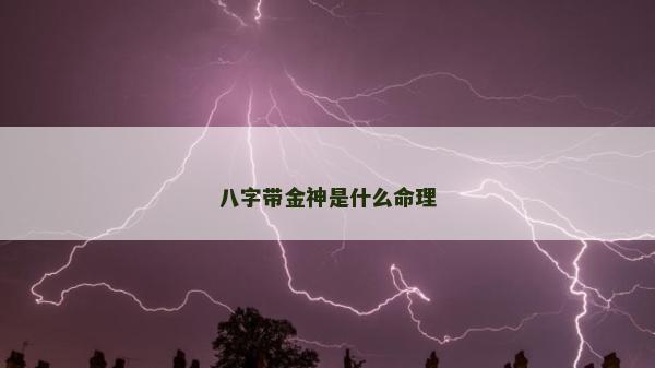 八字带金神是什么命理