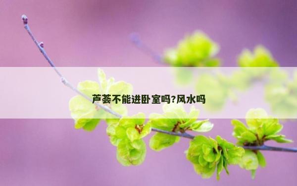芦荟不能进卧室吗?风水吗