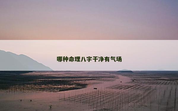 哪种命理八字干净有气场