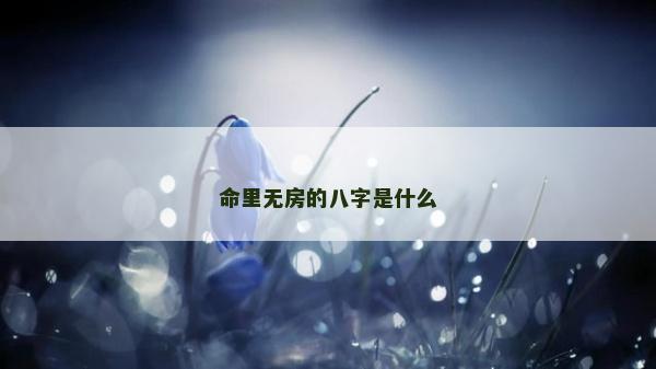 命里无房的八字是什么