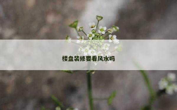 楼盘装修要看风水吗