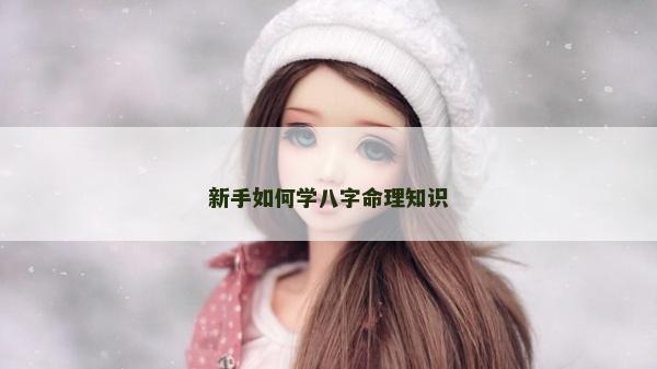新手如何学八字命理知识