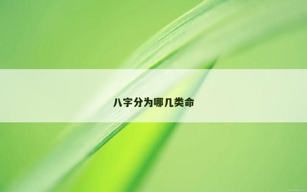 八字分为哪几类命