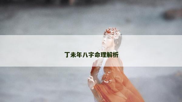 丁未年八字命理解析