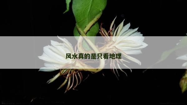 风水真的是只看地理