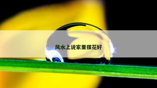 风水上说家里摆花好
