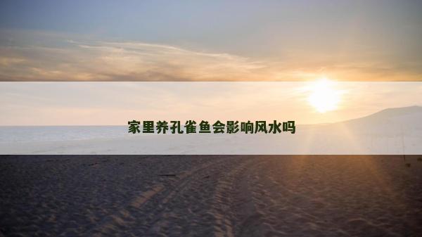 家里养孔雀鱼会影响风水吗