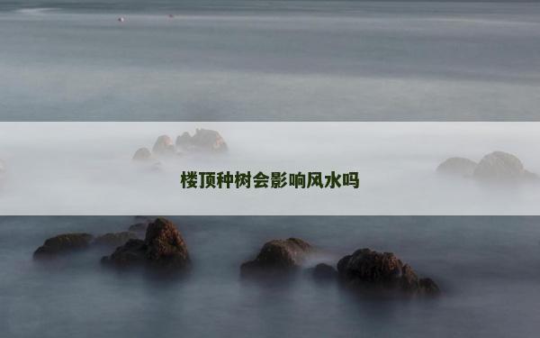 楼顶种树会影响风水吗