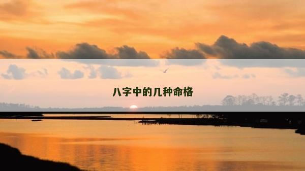 八字中的几种命格