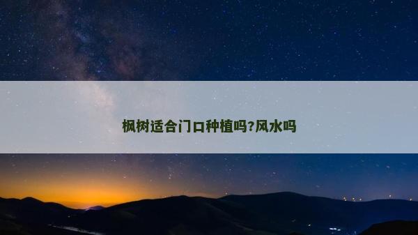 枫树适合门口种植吗?风水吗