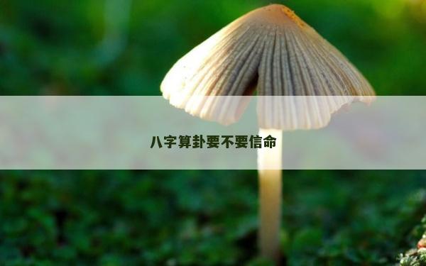 八字算卦要不要信命