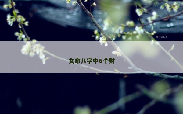女命八字中6个财