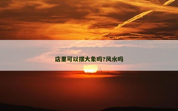 店里可以摆大象吗?风水吗