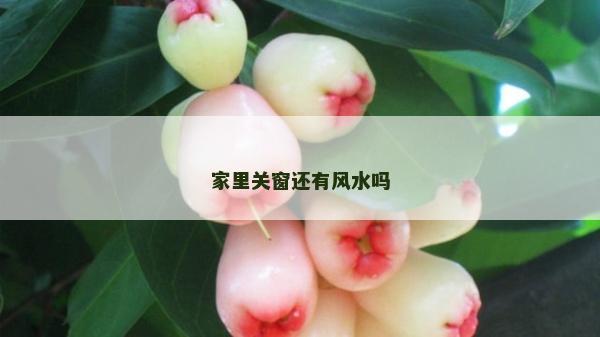 家里关窗还有风水吗